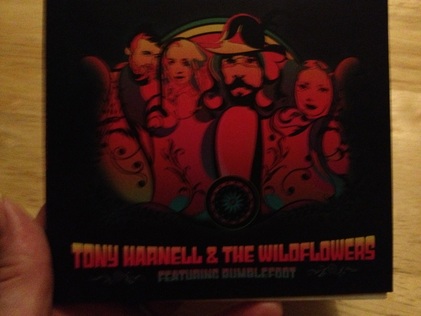 tony harnell the wildflowers